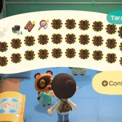 Inventario pieno di tarantule in Animal Crossing New Horizons. Un giocatore ha catturato molti insetti, pronti per essere venduti.
